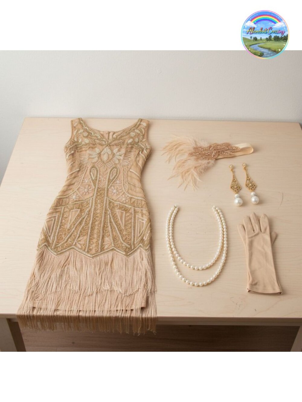 Flapper Dress Set Fringe Gatsby Costume with Accessories
